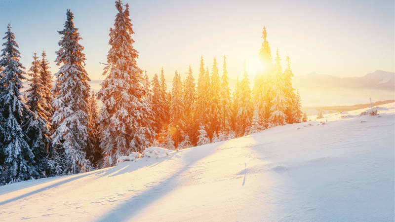 Vitamin D3 + K2 in den Wintermonaten