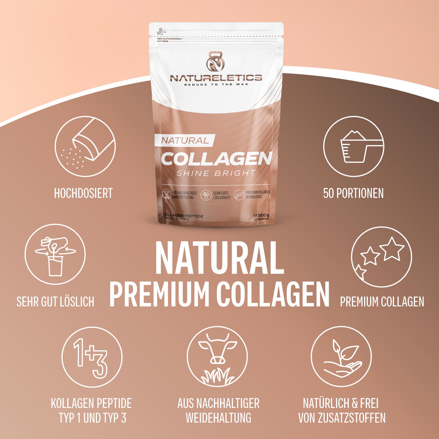 Natural Kollagen Shine Bright 500g