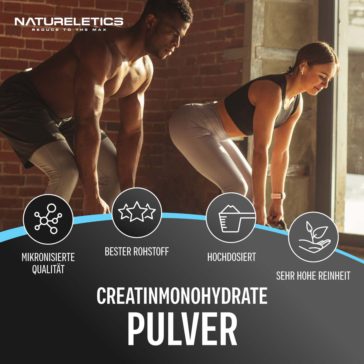 CREATIN MONOHYDRAT PULVER 500 g