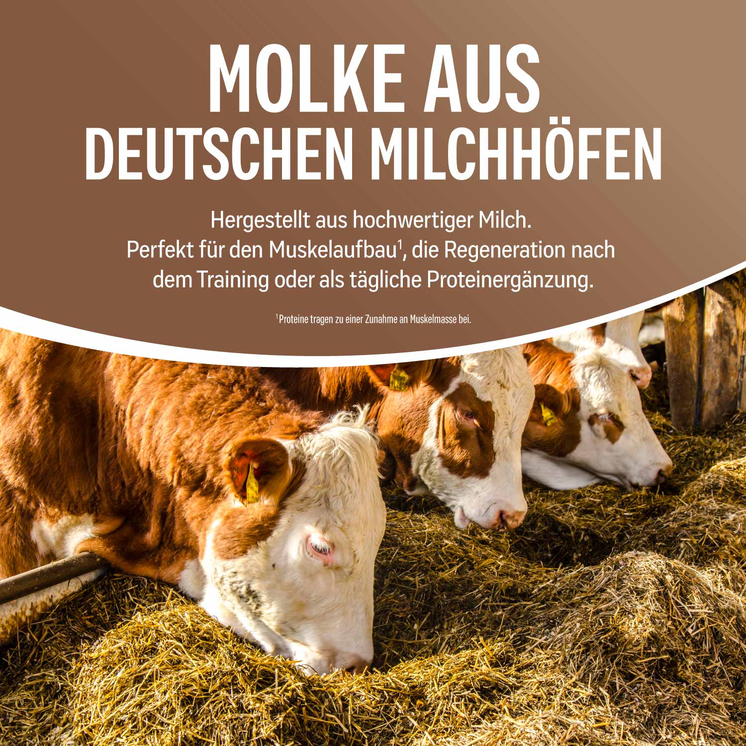 NATURAL WHEY KONZENTRAT SCHOKO 1 kg