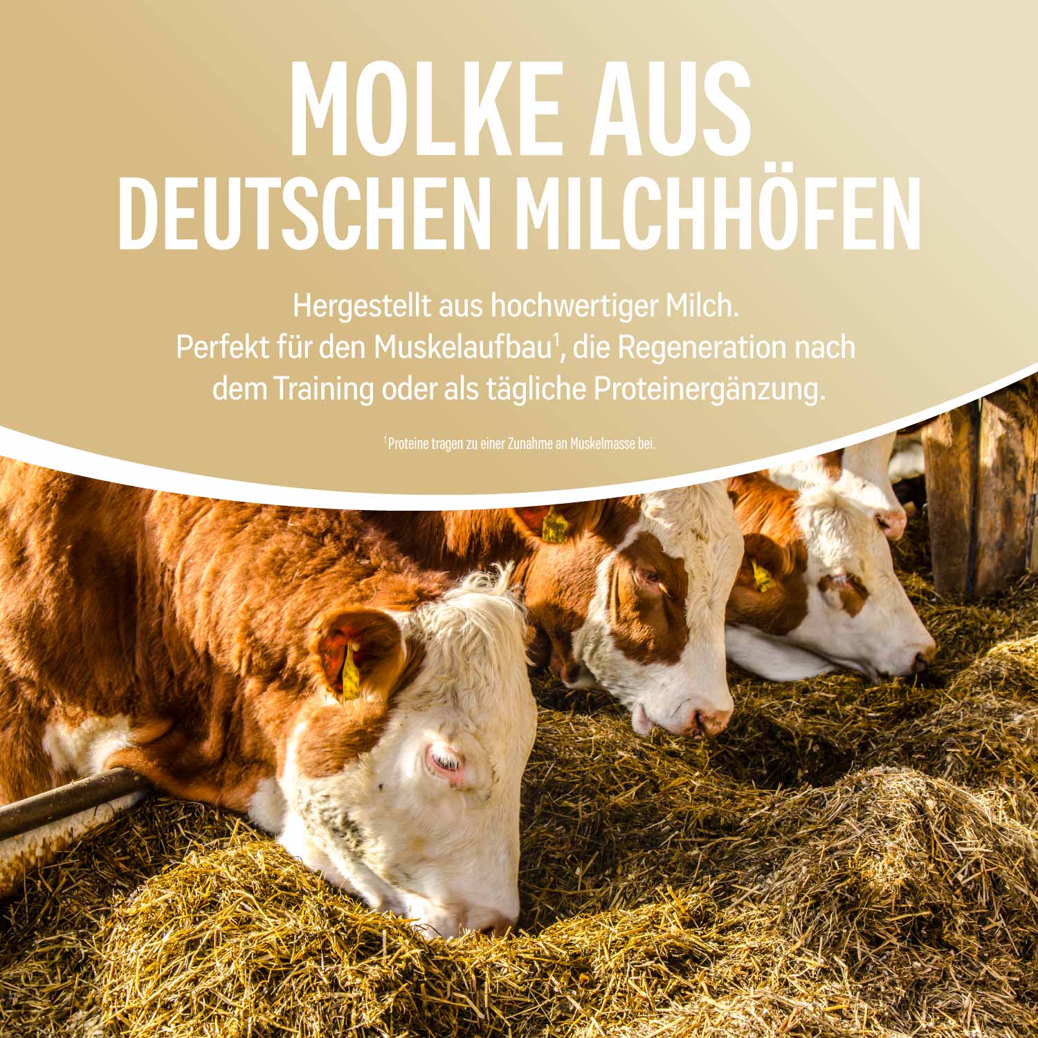 NATURAL WHEY KONZENTRAT VANILLE 1 kg