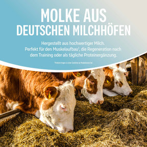 NATURAL WHEY KONZENTRAT KOKOS 1 kg