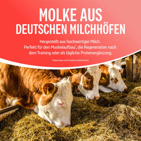 NATURAL WHEY KONZENTRAT ERDBEERE 1 kg