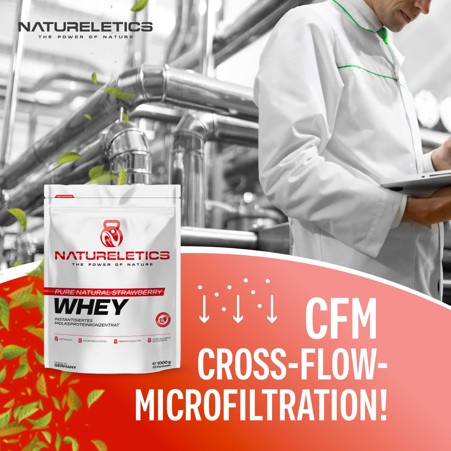 Whey Cross Flow Microfiltration